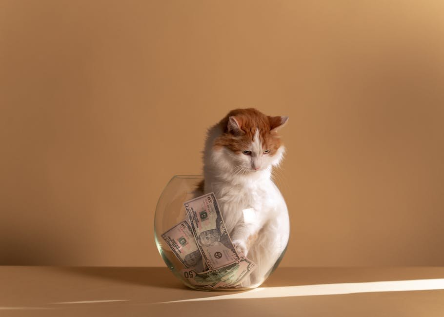 Maximizing Your Retirement Savings
