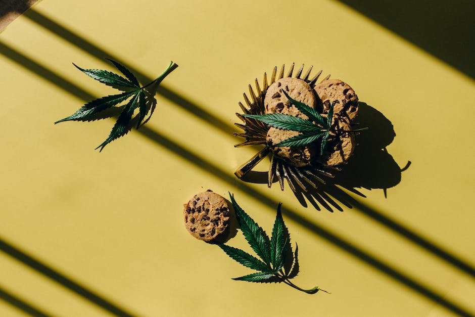 The history of cannabis in medicine