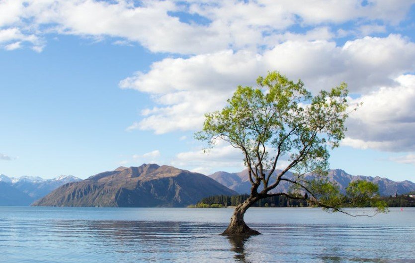 new zealand