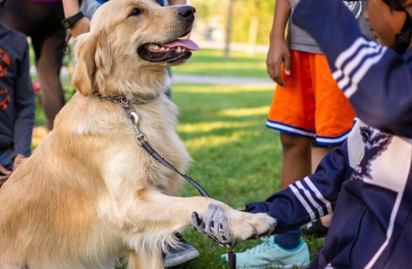Ontario hunting dog legislation debate