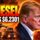 Trump Zelenskyy halt Russian diesel refinery strikes